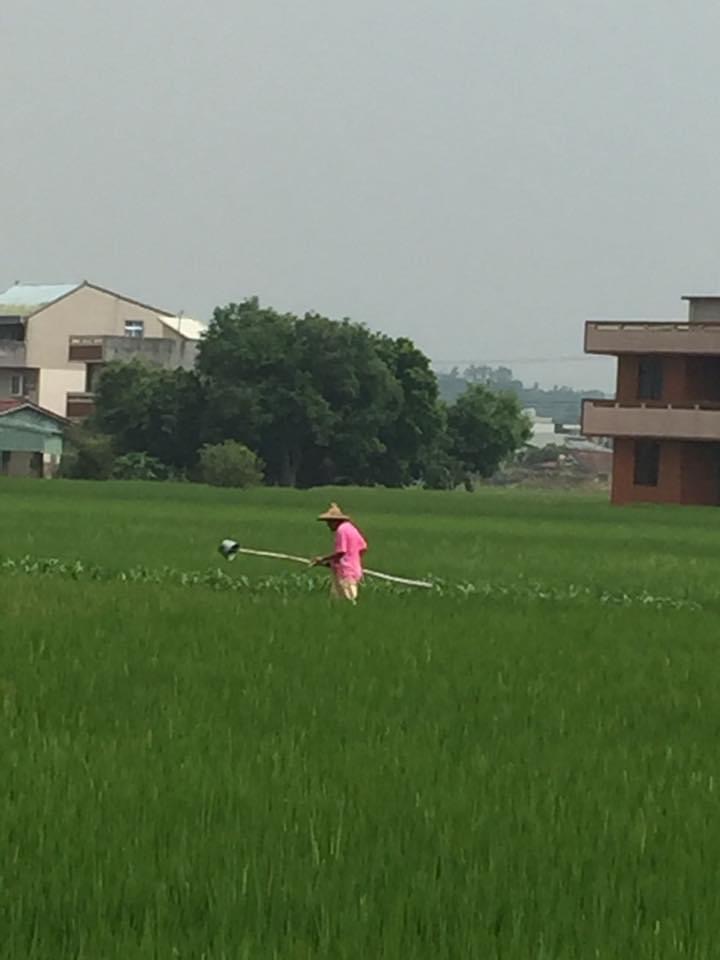 纽约交友会员照片